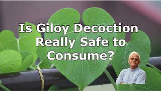 Is Giloy Decoction Really Safe to Consume? || Any Side Effects? || Dr Khadar || Dr Khadar lifestyle