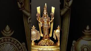 # thirumala thirupati 🌺🌺## Sri venkateswara swami # devotional # trending # yt shorts # telugu 🙏🙏🌺🌺