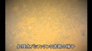 Images from inside the buffer tank