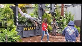 Hilarious Raptor Encounter with Blue at Universal Studios Orlando