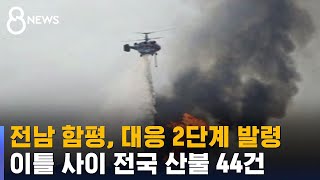 전남 함평, 대응 2단계 발령…이틀 사이 전국 산불 44건 / SBS 8뉴스