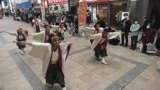 2023.3/26.九州がっ祭(下通新天街会場)煌星