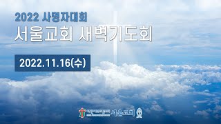 서울교회 20221116 새벽기도회