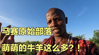 旅行生活（252）马赛原始部落生活太乐观，萌萌资产太少了，想娶媳妇很难