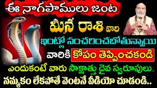 మీన రాశి వారి ఈ నాగపాములు జంట ఇంట్లో సంచరించబోతున్నాయివారికి కోపం తెప్పించకండి ఎందుకంటే వారు