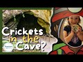 The Longest Cave System in the World! - Mammoth Cave National Park - Frozen Niagara Tour - Kentucky