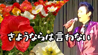 木下あきら「さようならは言わない」　鶴岡雅義と東京ロマンチカ　佐藤省吾