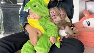 So touching! The emotional reunion of monkeys SinSin \u0026 ZiZi with Mom and Sister