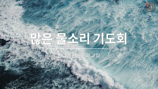 1.11.2023 (수)  밴쿠버 할렐루야 교회  많은 물소리 기도회 8:00 PM, 이수영 목사, (대한민국, 북한, 이스라엘, 열방)