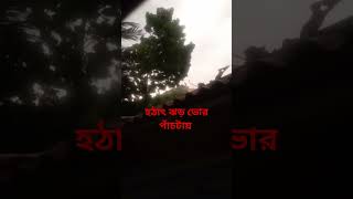 হঠাৎ ভোর পাঁচটায় ঝড় শুরু হল