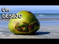 Sonhar Com Coco verde Fruta, viu ou tomou a água de coco no sonho,?