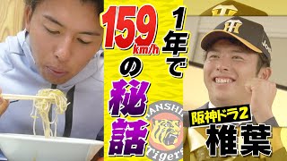 【ジモトラ】ドラ２位・椎葉剛｜投手歴わずか4年…1年で急成長を遂げMAX159km/h！その真相に迫る…。｜徳島インディゴソックス【後編】