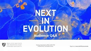 Next in Evolution | Discussion and Audience Q&A || Radcliffe Institute