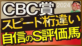 【CBC賞2024予想・有力馬解説・外厩】スピード桁違いで自信のS評価馬！アグリ、ピューロマジック、ジャスティンスカイなど参戦。