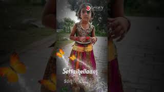 Settaikellam sonthakari........