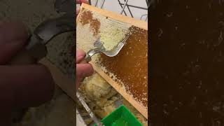 Uncapping Honeycomb || ViralHog