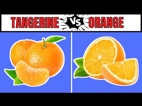 Which fruit is a cross between a grapefruit tangerine and orange?