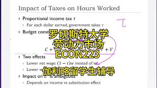 伽利略留学生辅导：罗切斯特大学劳动力市场 ECON223