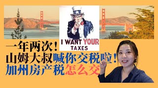 美国湾区硅谷旧金山怎么交地税？手把手教你，加州地税怎么交？山姆大叔喊你交税啦！加州地税/湾区地税/美国地税