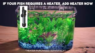 Koller Products Panaview 5-Gallon Aquarium Kit