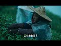 ウー・レイ主演『西湖畔に生きる』日本版予告編