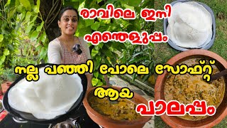 യീസ്റ്റും സോഡാപൊ ടിയും ഇടാതെ നല്ല പഞ്ഞി പോലെ സോഫ്റ്റ് ആയ പാലപ്പം