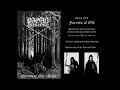 pagan warlord sweden — forests of old — 2024 demo