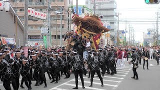 2019年 貝塚麻生郷だんじり祭 本宮午後【4K】Danjiri Festival