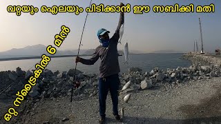 Sabiki fishing.. സബികി ഫിഷിംഗ്‌ ചെയ്യേണ്ട രീതി