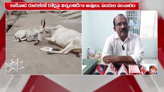 రోడ్లపై విచ్చలవిడిగా సంచరిస్తున్న పశువులు | Kakinada District | BRK News Digital