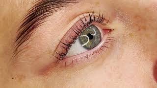 Lash Perfect Academy - Professional Training in Lash Extensions, Lash Lift, Brow Lamination