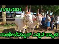 Ranebennur Bulls Market || ರಾಣೇಬೆನ್ನೂರ್ ಎತ್ತಿನ ಪ್ಯಾಟಿ || Every Sunday Morning ||