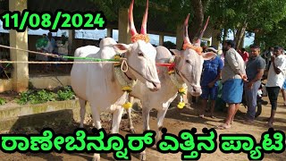 Ranebennur Bulls Market || ರಾಣೇಬೆನ್ನೂರ್ ಎತ್ತಿನ ಪ್ಯಾಟಿ || Every Sunday Morning ||