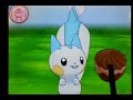 pokémon amie 417 pachirisu