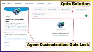 Customize Your Agents | Agent Customization: Quick Look | Quiz Solution