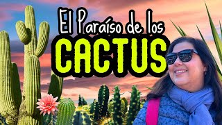 Conocimos un DESIERTO de cactus en MADRID !