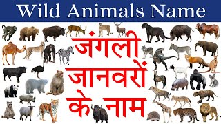 Wild Animals Name in Hindi & English with Pictures and Sounds | जंगली जानवरों के नाम