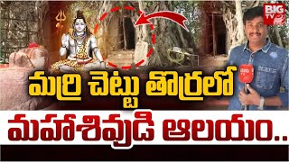 మర్రి చెట్టు తొర్రలో మహాశివుడి ఆలయం : Historic Temple in Vizianagaram District | BIG TV Srikakulam