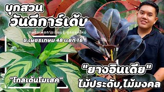 บุกสวน | วันดีการ์เด้น(Wandee's Garden)ไม้ประดับ,ไม้มงคล/รายละเอียดต่างๆอยู่ใต้คลิป(คำอธิบาย)