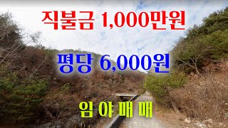 [1291][임야매매] 직불금 1,000만원에 지적도상 도로, 구거가 접하고 군유지, 국유지가 접하고 있는 임야매매입니다.