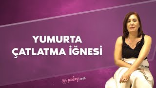 Yumurta Çatlatma İğnesi Nedir? Nasıl Uygulanır? | Şebboy.com - Op.Dr.Cevahir Tekcan