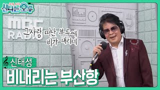 신태성 - 비내리는 부산항/김욱 (#신나는오후 2024.10.31.) #k_music #트로트 #trot