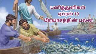 பனித்துளிகள் / ஏப்ரல் 19 பிரயாசத்தின் பலன்