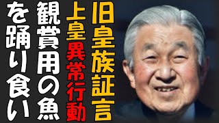 観賞用熱帯魚を、生きたまま醤油をつけて踊り食い　上皇91歳誕生日で暴露された衝撃の過去