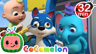Down by the Bay | Animals for Kids | Animal Cartoons | Funny Cartoons | Learn about Animals