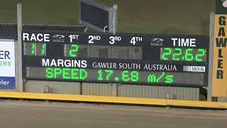 Gawler-19012025-Race-11