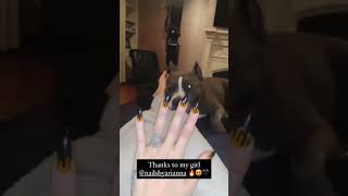 paige wwe barefoot from her instagram stories