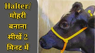 पशु की Halter(मोहरी)बनाना सिखे मात्र 2मिनट में||गाय,भैस की रस्सी बनाने का तरीका|मोरकीबनने का तरीखा||