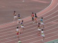 h28　日本インカレ　男子110mh　予選1組　スローモーション