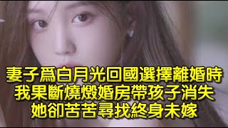 妻子爲白月光回國選擇離婚時，我果斷燒燬婚房帶孩子消失，她卻苦苦尋找終身未嫁